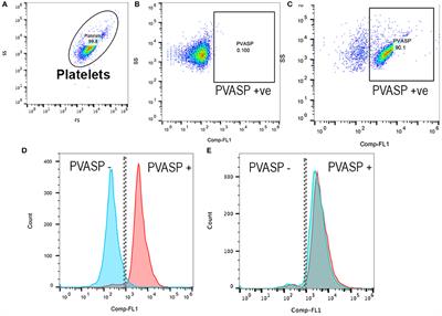 Assessment of P2Y12 Inhibition by Clopidogrel in Feline Platelets Using Flow Cytometry Quantification of Vasodilator-Stimulated Phosphoprotein Phosphorylation